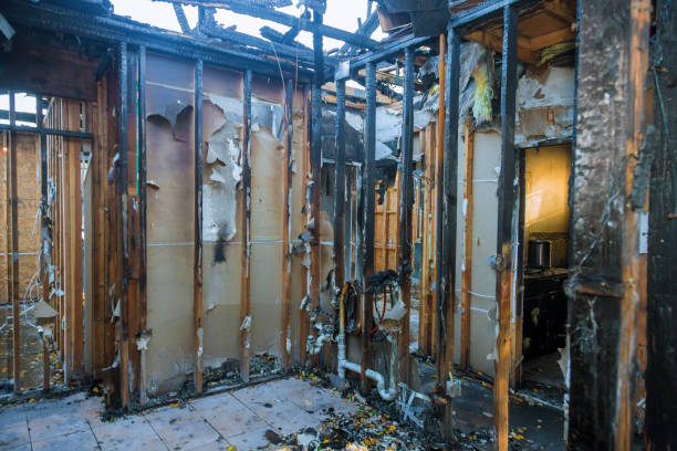Professional Soot Cleanup technician working in Quinlan, TX